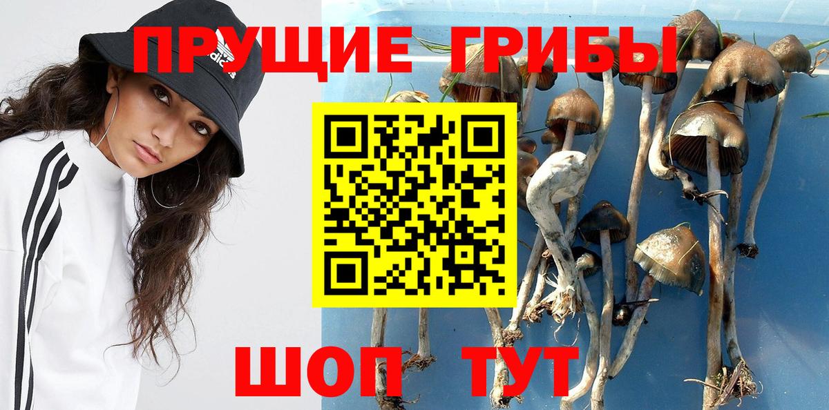 Галлюциногенные грибы Magic Shrooms  Галлюциногенные грибы MAGIC MUSHROOMS  Вход с VPN  Йошкар-Ола 